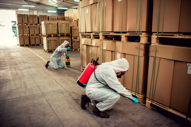 Wildlife Control Services in Breese, IL